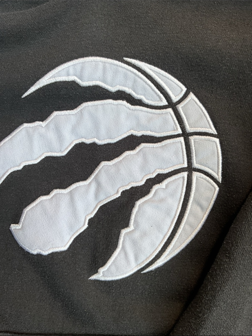 NBA Raptors Hoodie - Picture 2 of 5